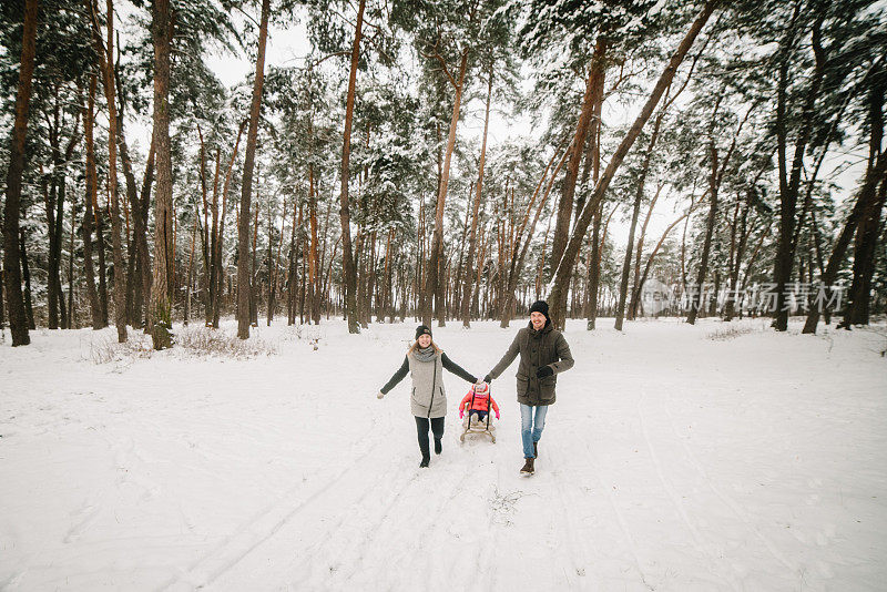 Father, mother, and child in children's sled walk and play in the park. Happy family with kid having fun in winter forest. Mom, dad, daughter running and walking in snow in mountains. Winter holidays.
